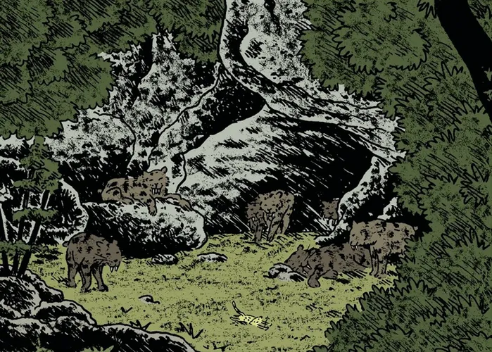 cave with tigers around