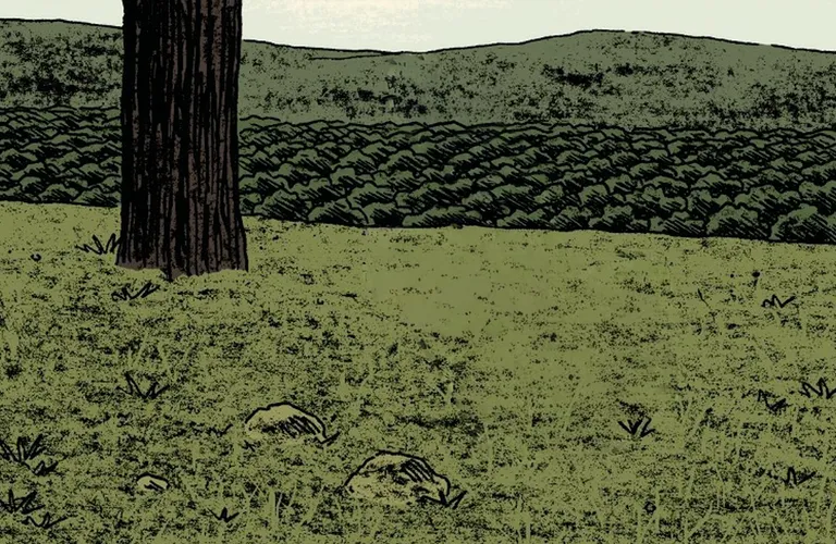 landscape on a grassy embankment