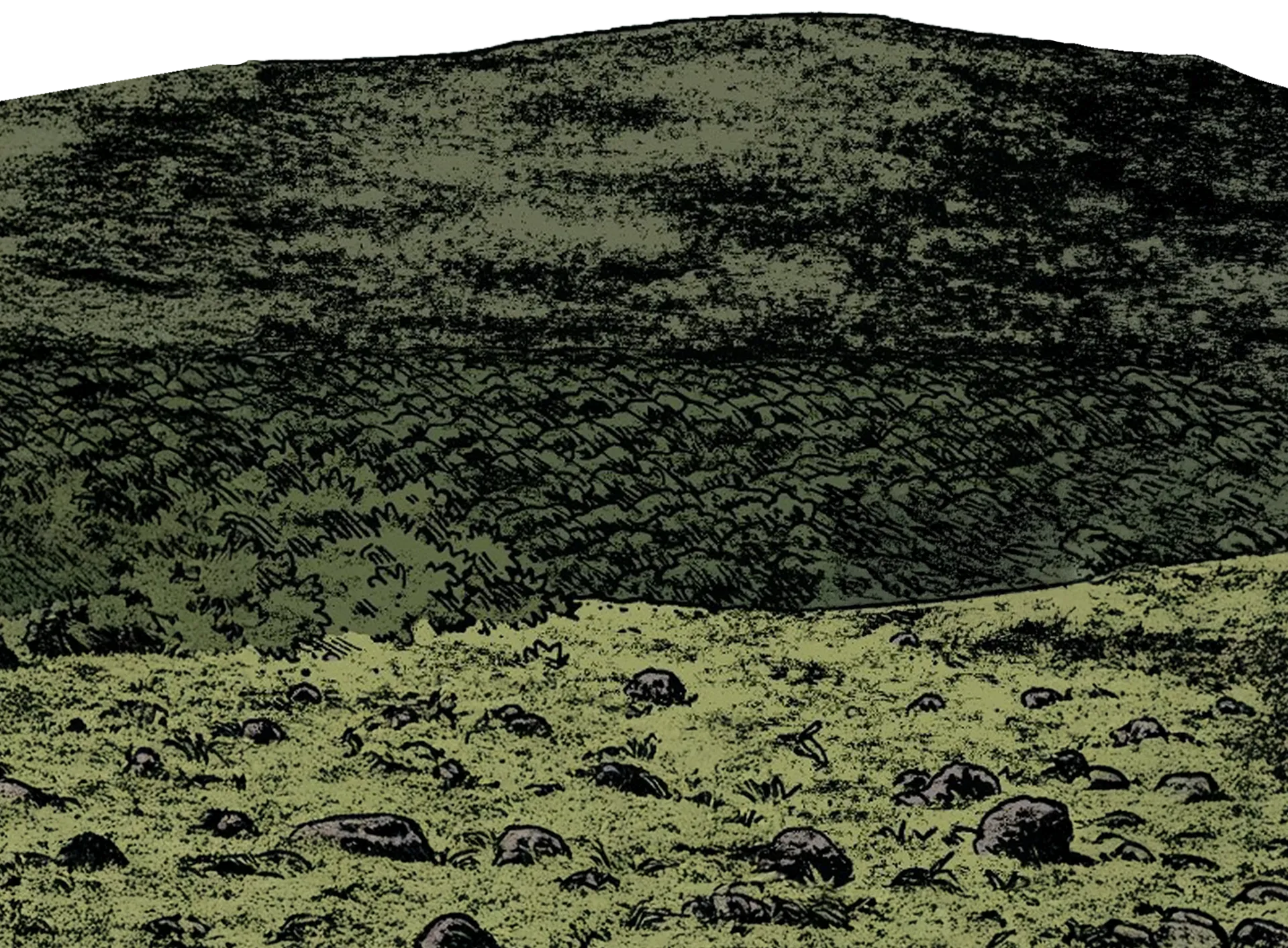 mountain